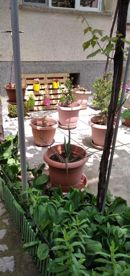 Draga Apartment Несебр Экстерьер фото